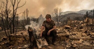 découvrez le témoignage poignant des sinistrés des incendies dans les pyrénées-orientales, confrontés à la perte de leur maison et au traumatisme profond qu'ils vivent.