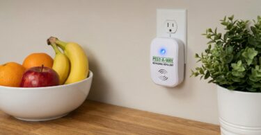 découvrez des alternatives efficaces aux pièges traditionnels pour éliminer les souris qui les ignorent, et protégez votre maison durablement.