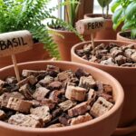 d&eacute;couvrez comment r&eacute;utiliser vos bouchons de vin avec ces astuces ing&eacute;nieuses et &eacute;co-responsables pour d&eacute;corer et organiser votre maison facilement.