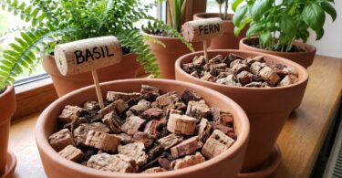 découvrez comment réutiliser vos bouchons de vin avec ces astuces ingénieuses et éco-responsables pour décorer et organiser votre maison facilement.