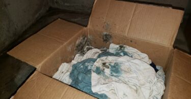 découvrez la vérité surprenante que les déménageurs partagent rarement : ce n’est pas le transport qui abîme vos meubles, mais d’autres facteurs souvent méconnus.