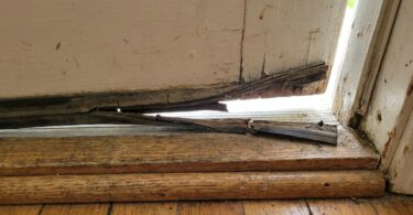 découvrez pourquoi une maison envahie d’araignées à la mi-septembre est un signal d’alerte. profitez-en pour vérifier vos ouvertures et entreprendre un grand ménage efficace.