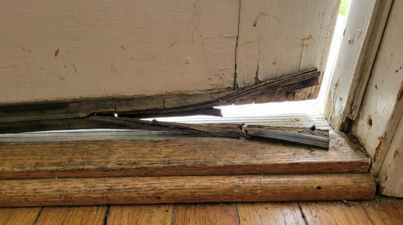 d&eacute;couvrez pourquoi une maison envahie d&rsquo;araign&eacute;es &agrave; la mi-septembre est un signal d&rsquo;alerte. profitez-en pour v&eacute;rifier vos ouvertures et entreprendre un grand m&eacute;nage efficace.